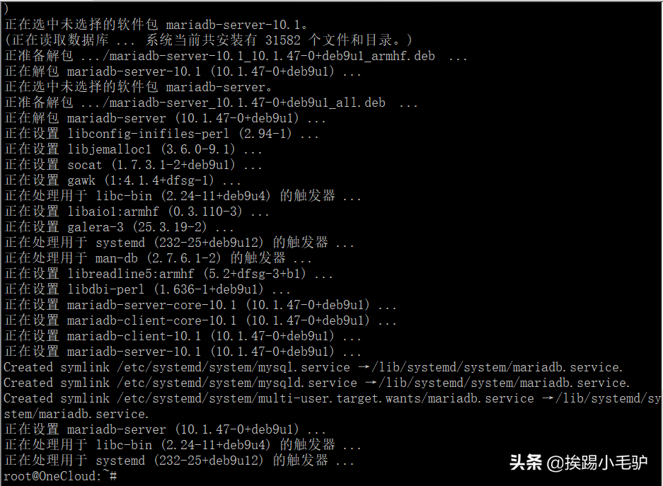 玩客云系列3之debian安装WEB环境nmp(中)