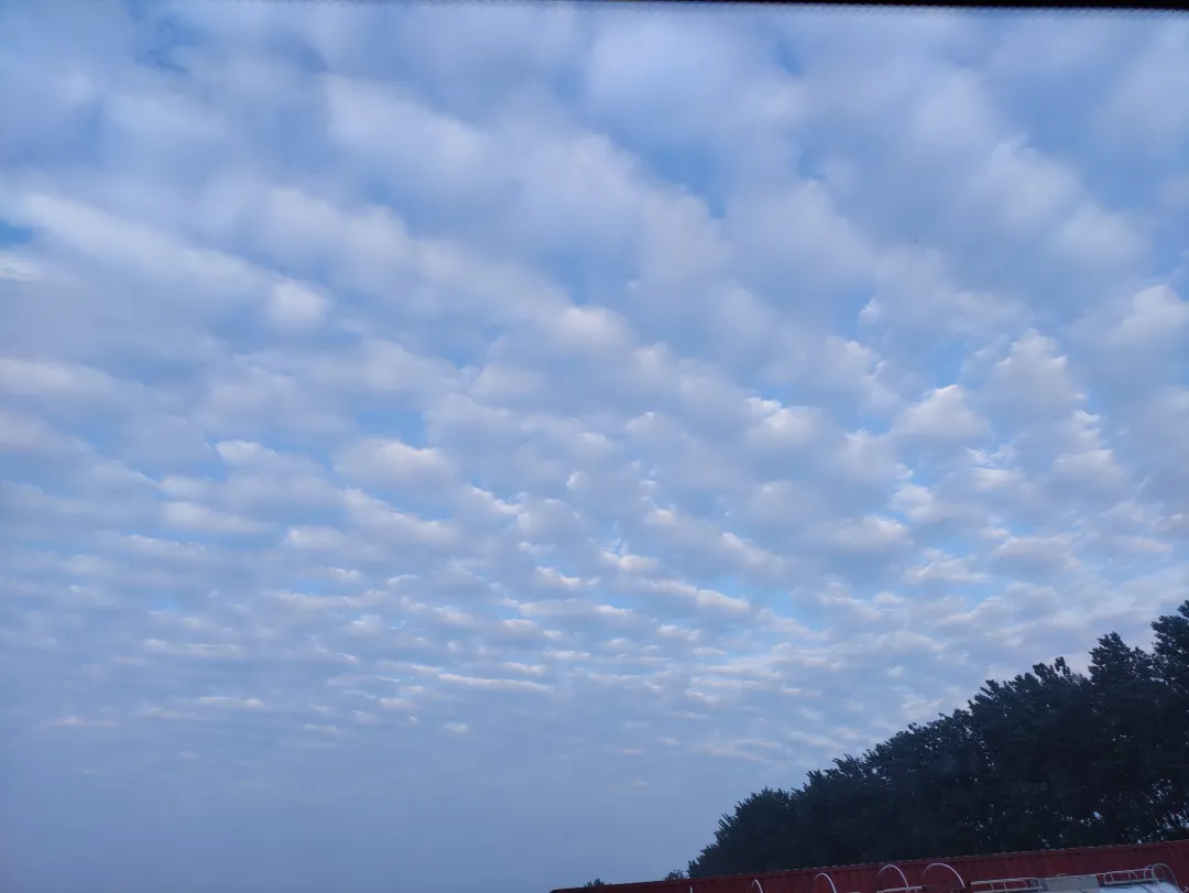 优微推荐｜窗户里的农大