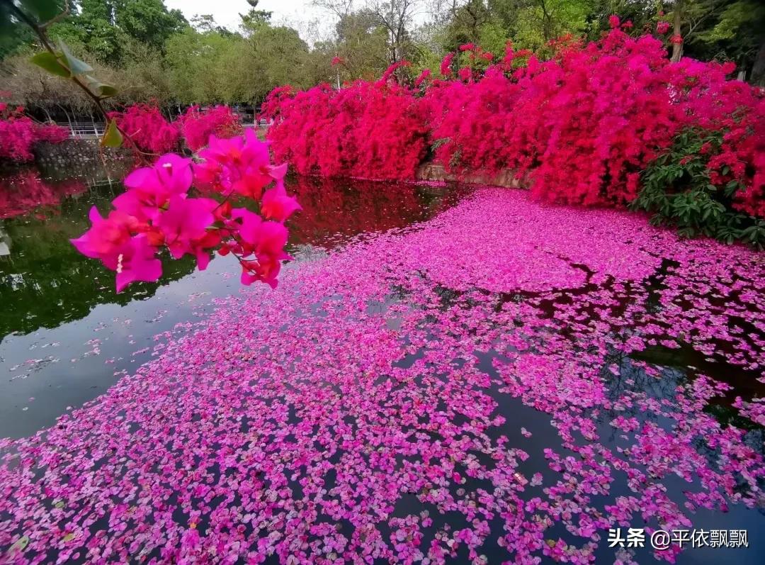 华南农业大学有五湖，一日能游完吗？