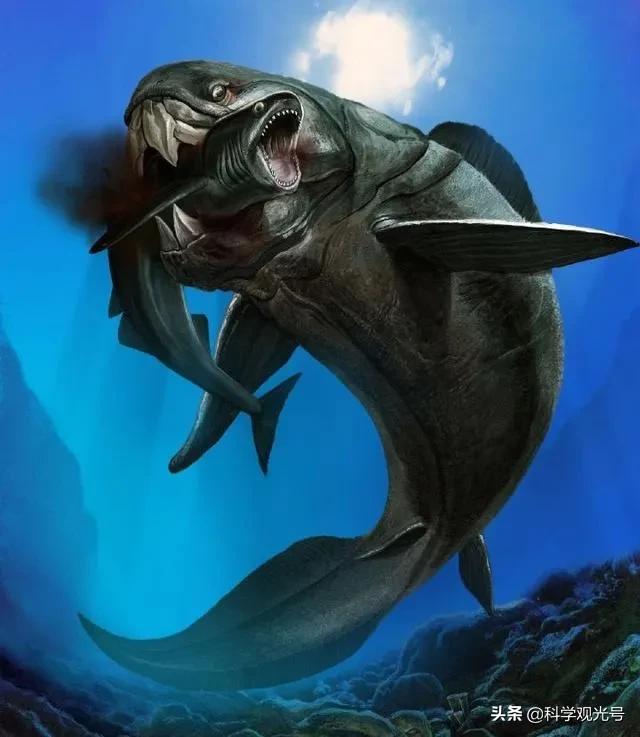 旋齿鲨图片(远古海洋最深处) - 赤虎壹号