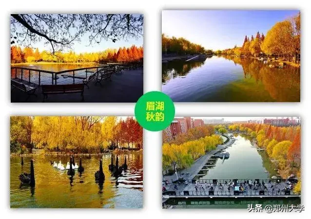 全天候在线！4月25日，郑大招办老师1对1为你解答报考难题