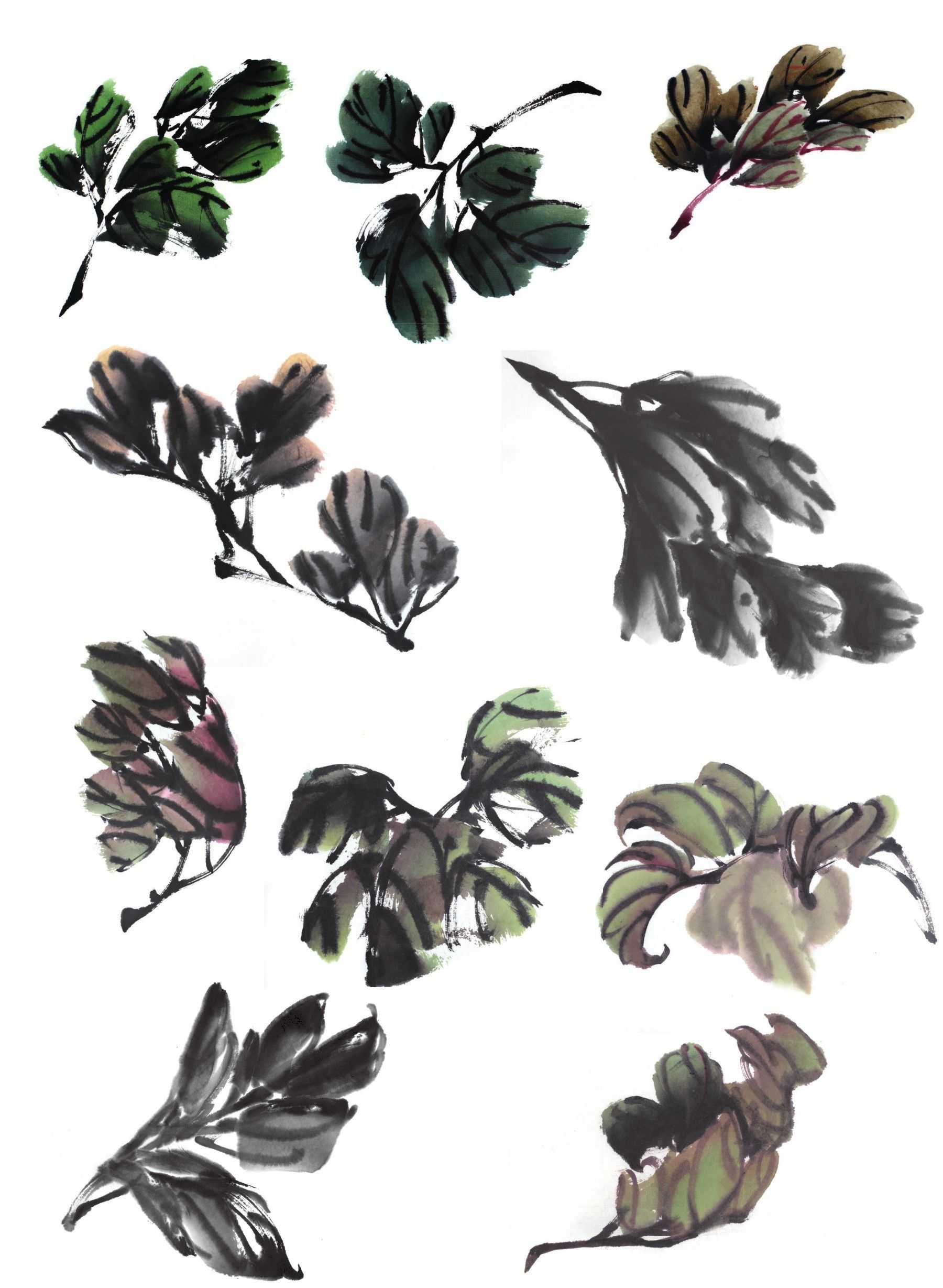 零基础国画教程:分步骤讲解牡丹叶子画法,简单易学,一起来临摹