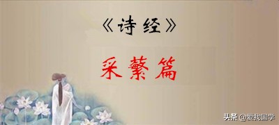 中国最早诗歌总集《诗经》原文、译文、注释、赏析！（采蘩篇）