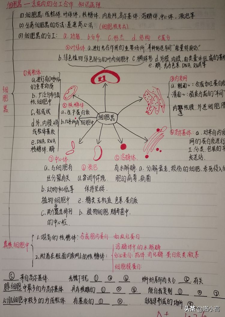 洛一高强基2班周记（9）