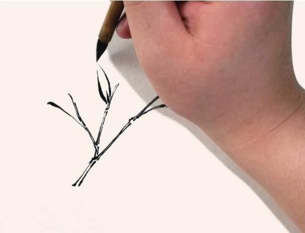 竹子表现技法：怎么样双勾法画竹子，分步骤讲解画法，简单易学！