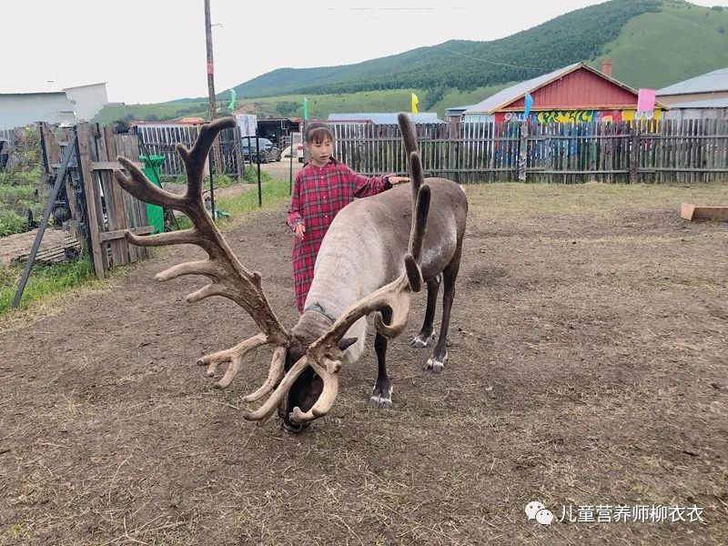 女孩做22页旅游攻略因太热没出酒店