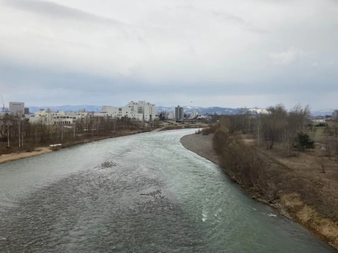 小女孩被霸凌自杀，日本校园暴力为何普遍而恐怖？