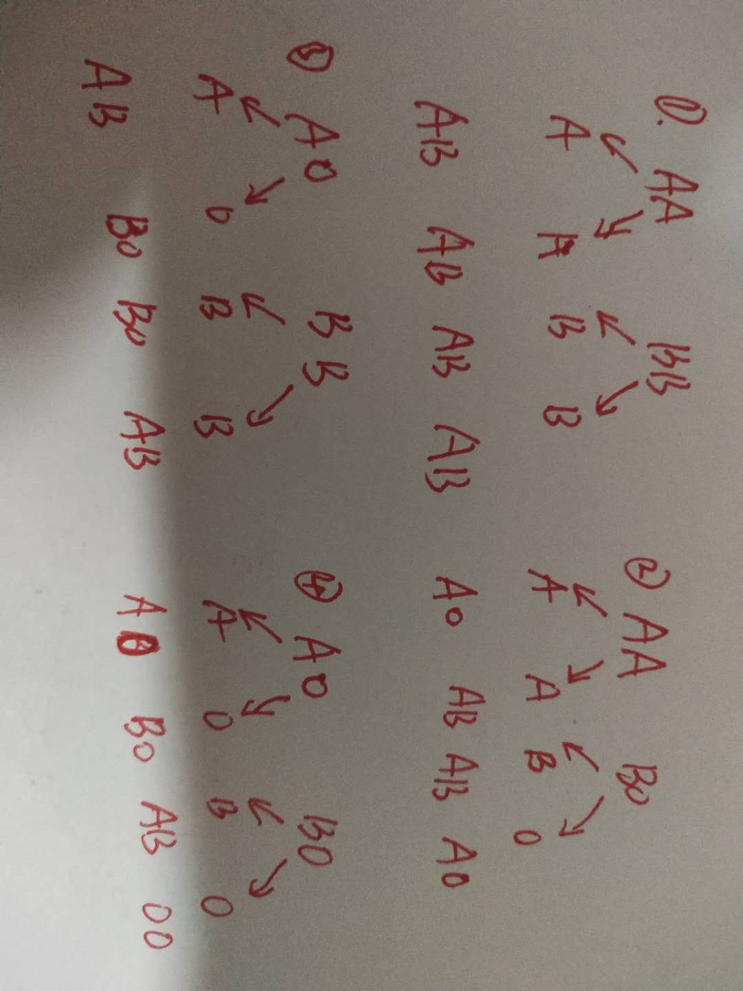 如何通过父母的血型来推断子女的血型