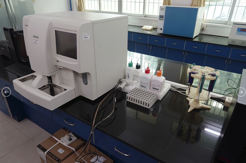 2020年3+证书最低录取167分，广东江门中医药职业学院介绍