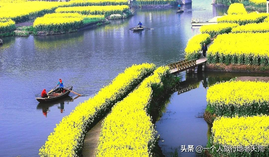江南这么美,所以这个三月,春风十里不如下江南