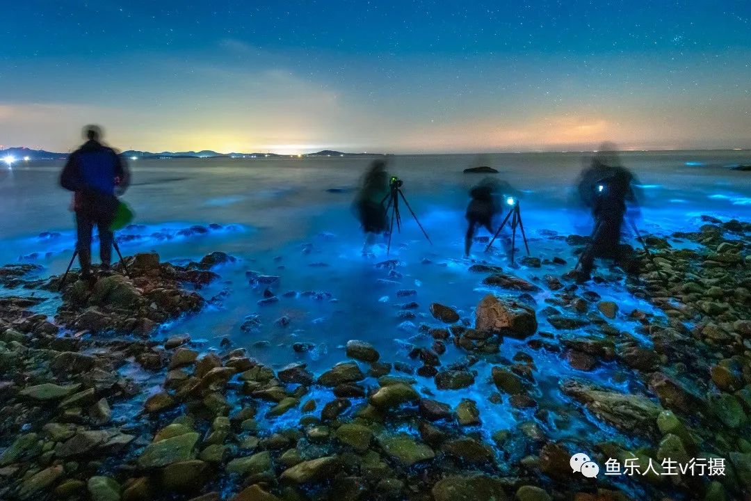 「行摄中国」大连再现荧光海,宛若"蓝色星河"