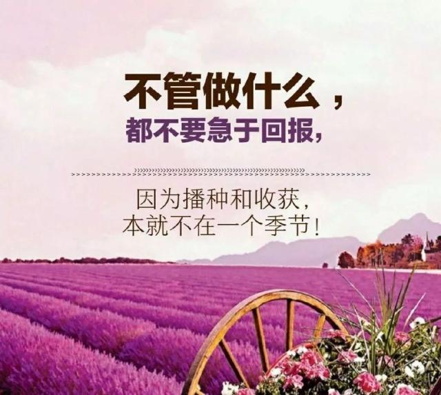新手在頭條創(chuàng)作中，遇到一些常見的問題該如何解決？
