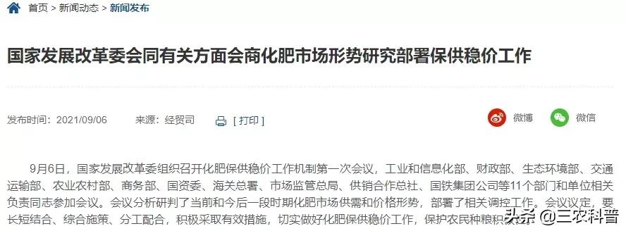 尿素偏高是怎么回事？原因及影响解析