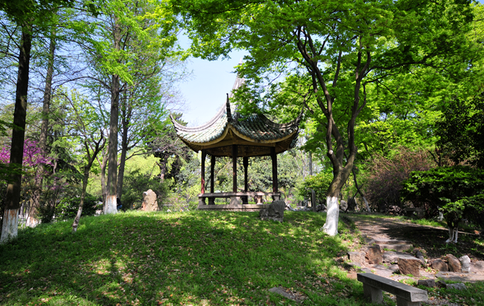 最新！2020江苏省高考成绩重磅公布！内附苏州大学2019年录取分数线！