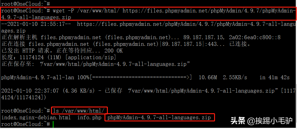 玩客云系列4之debian安装MySQL数据库管理工具