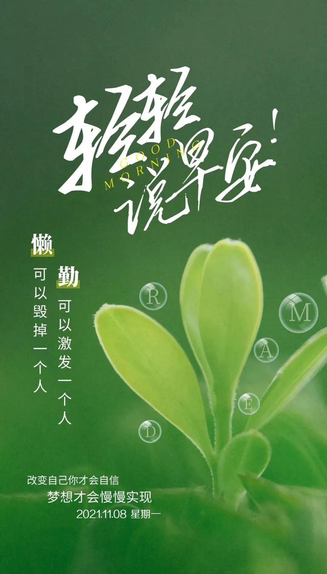 11月8日,早安日历来啦,美好的一天从我的问候开始