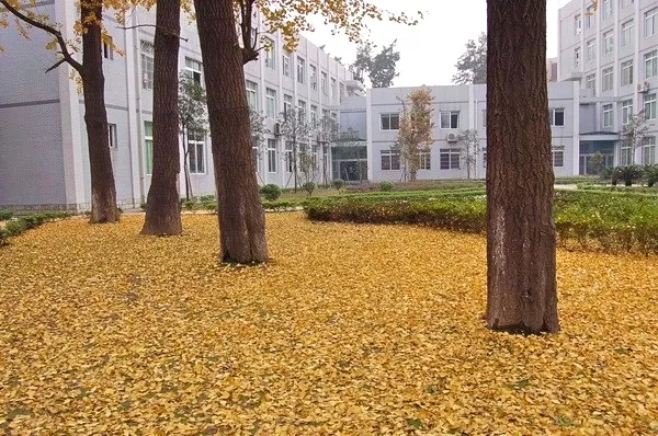 四川5所国家骨干高职院校之一，位于中国酒都，今年将要单招