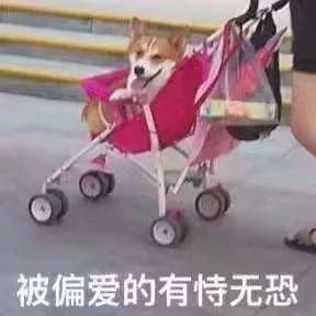 骂别人「双标狗」，算不算道德绑架？