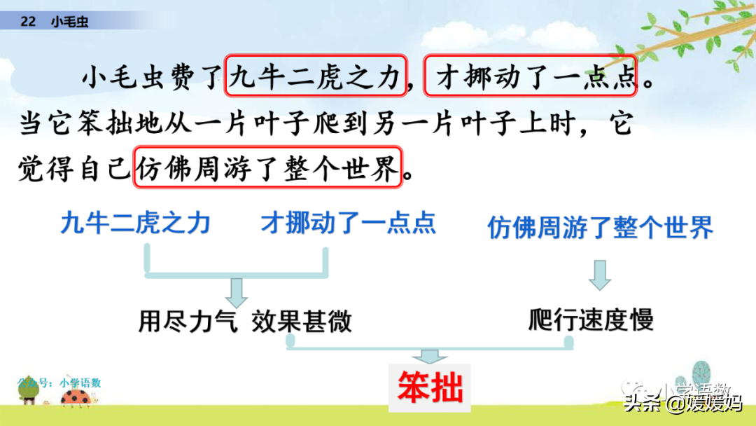 二年级下册语文课文22《小毛虫》图文详解及同步练习