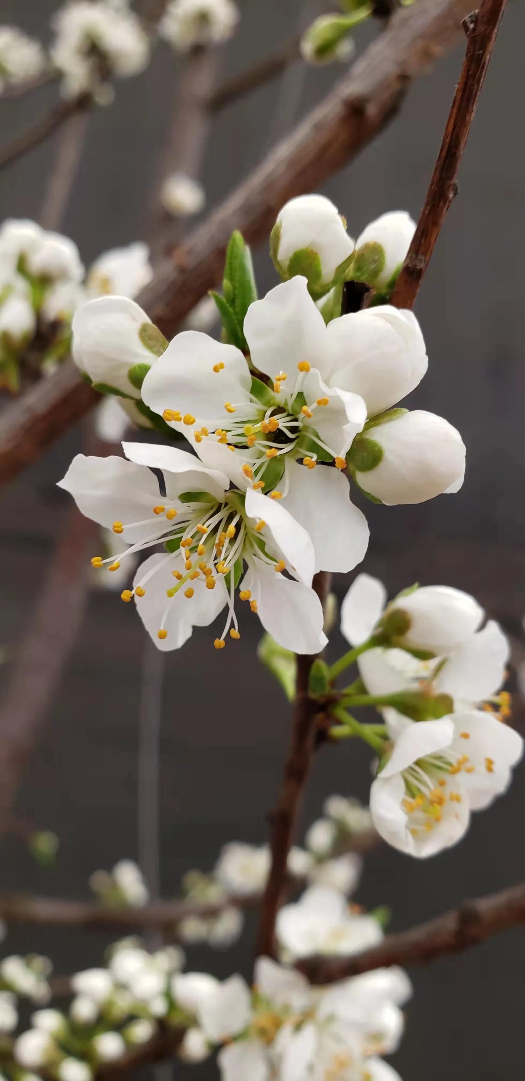 手拍世界（手机摄影平台）-群员作品集（总第733期）