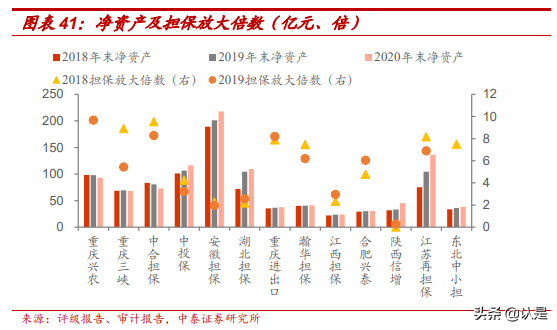 固定收益专题报告：担保公司面面观