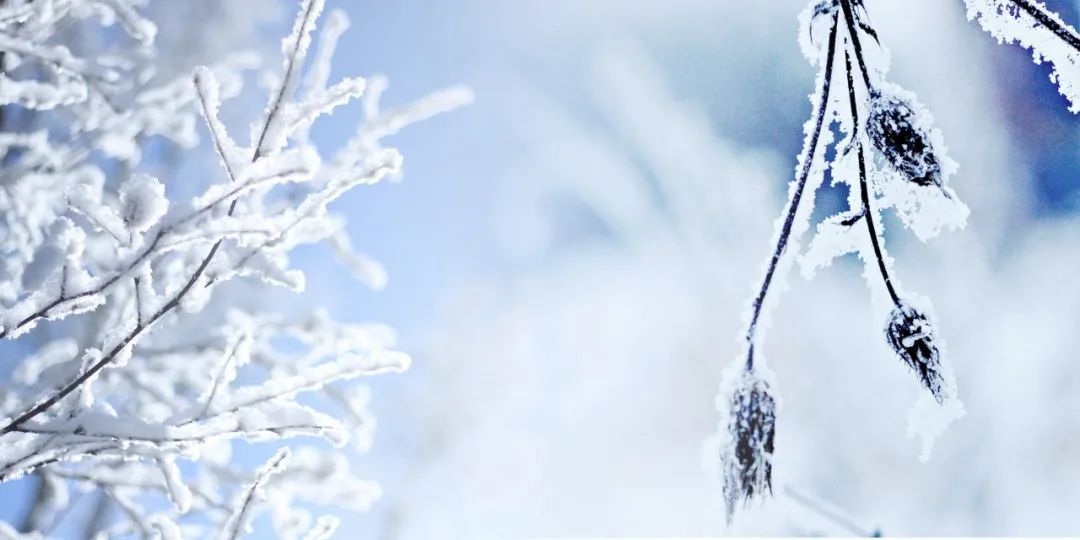 10首最美立冬诗词，挥手作别秋，转身遇见冬