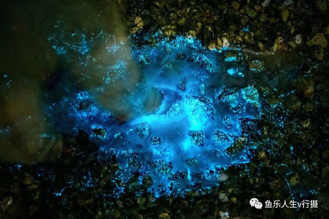 大连荧光海滩,宛若"蓝色星河"