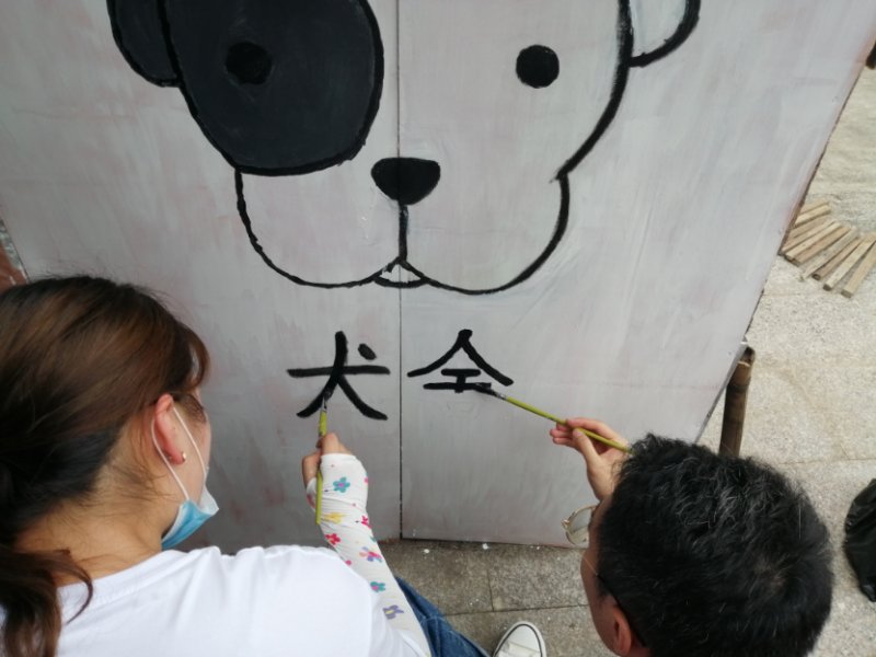 浙江理工大学科技与艺术学院学子助力上虞百官美丽庭院改造