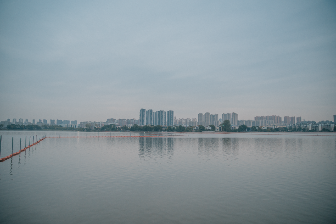 又是全国第一！华中农业大学，全体武汉人的骄傲