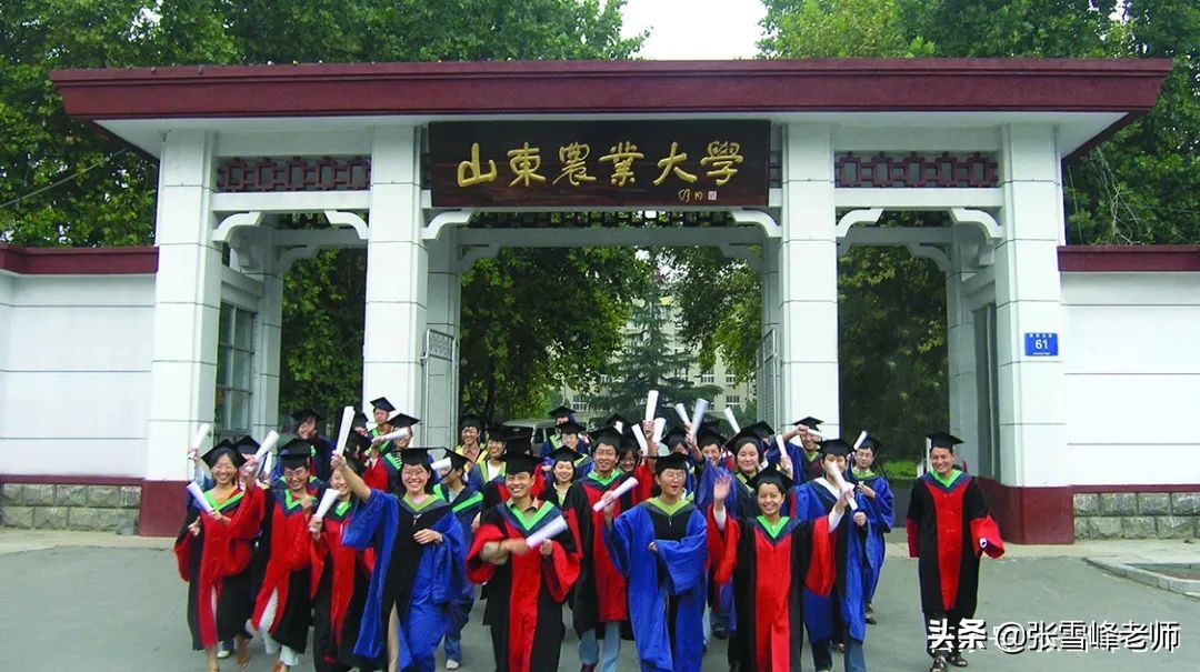 张雪峰教你报高考志愿：6所大学有实力又好考，低分捡漏上好专业