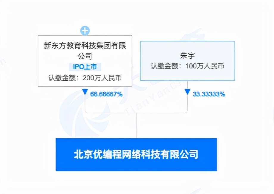 新东方成立编程公司，K9学科培训年底关停，仍在探索转型之路
