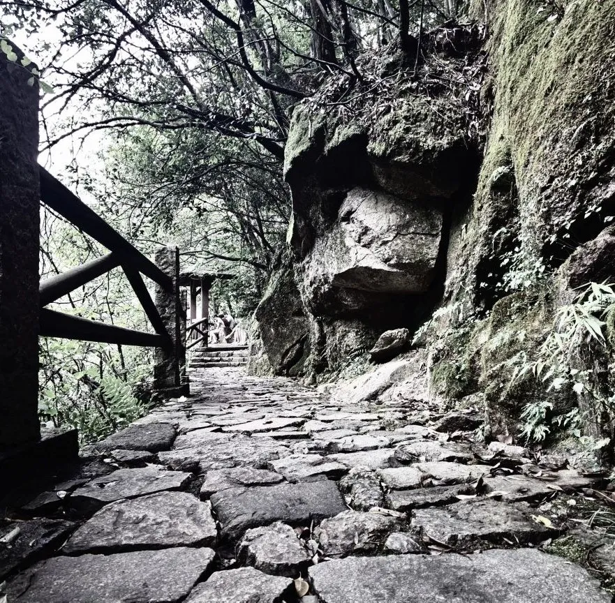 中南林业科技大学学报（湘粤古道上）