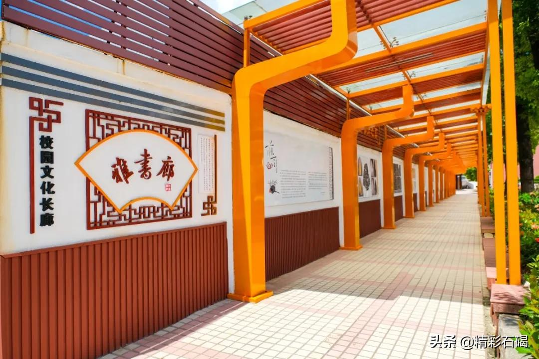 石碣四海学校2021年秋季学期招生简章来了~