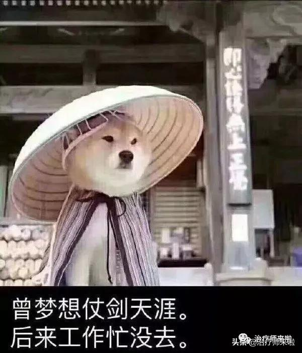 康复10年其修远