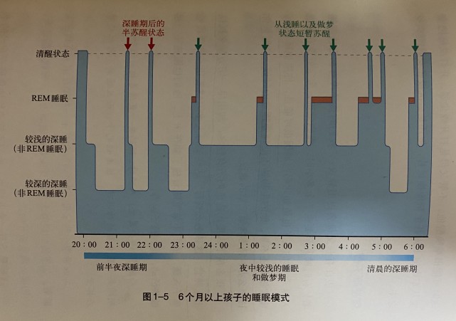 晚睡长不高，生长激素按点分泌？专家说法不一，我到底该听谁的？