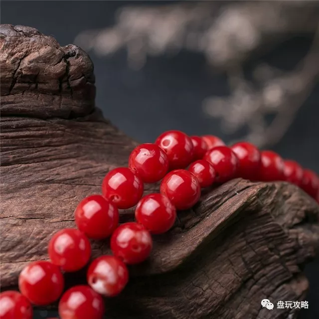 天然珊瑚图片及价格表(红珊瑚选购攻略) - 价格百科