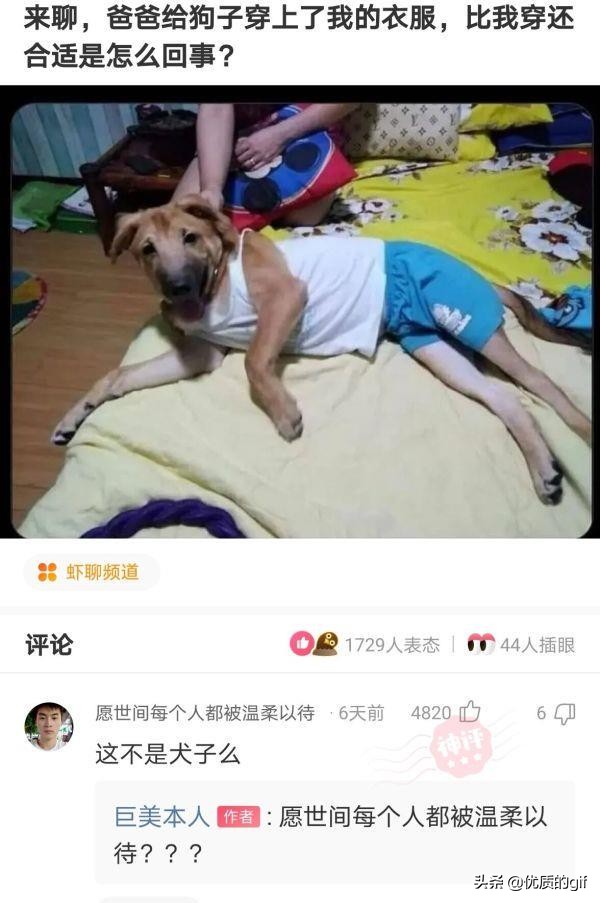“大哥这驾照，我也是佩服了，警察叔叔都看懵了！”哈哈哈