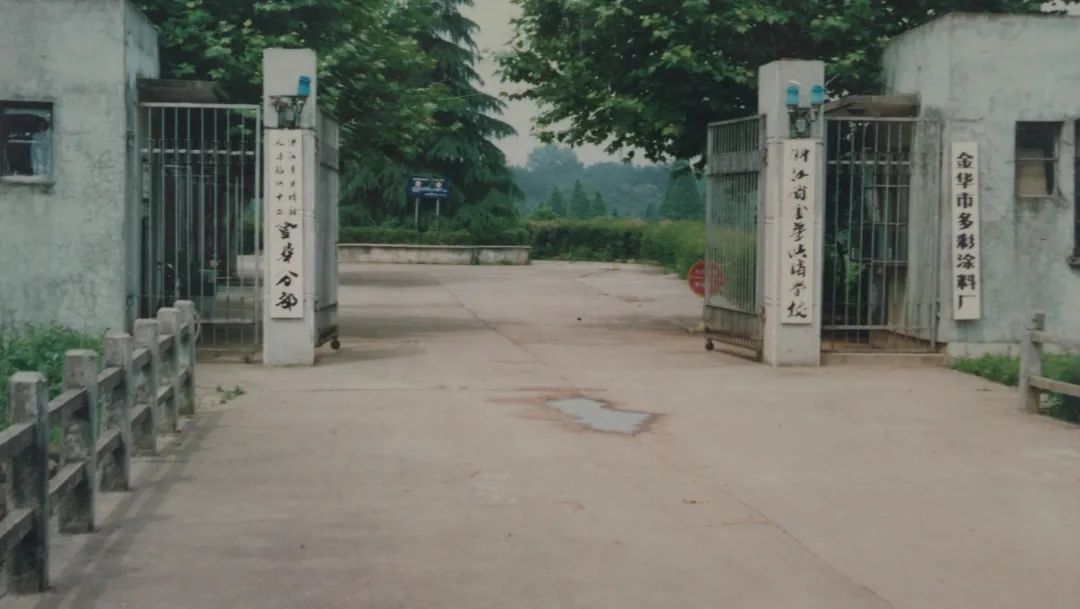 金职，生日快乐