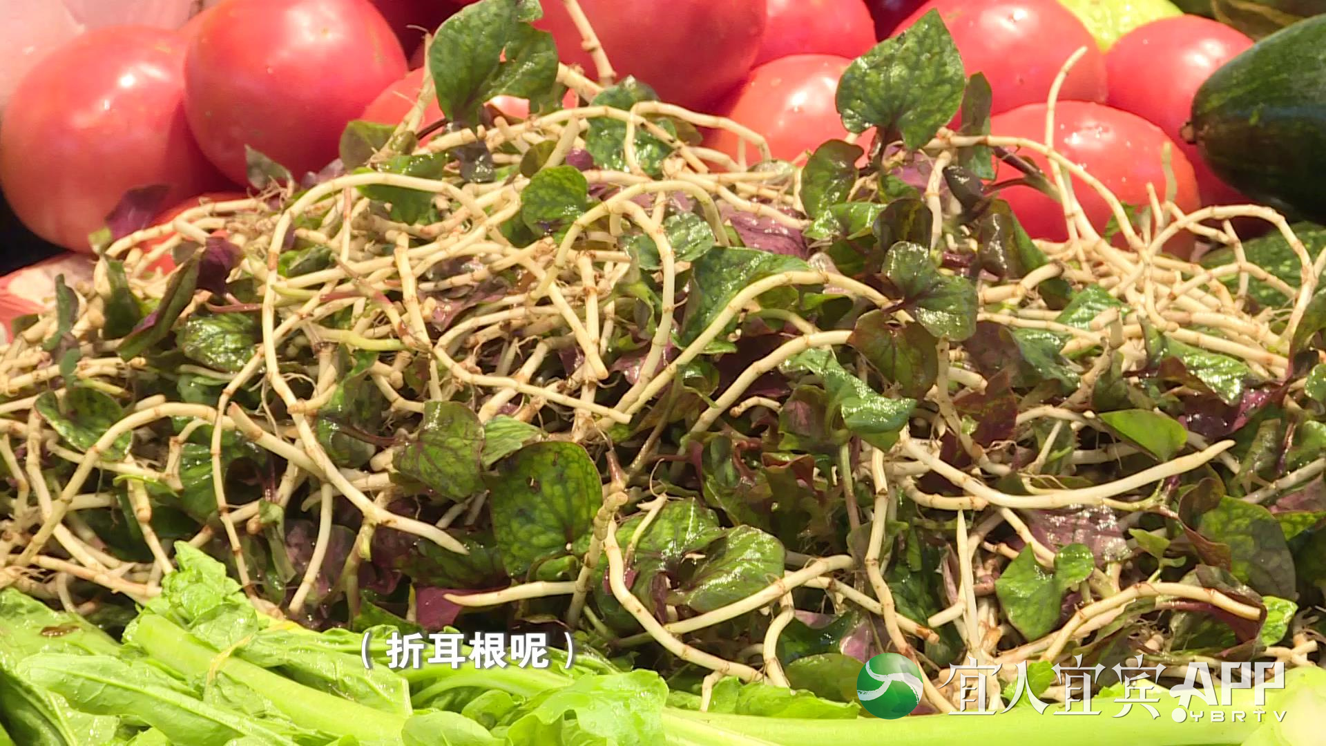 豌豆尖最贵12.8元/斤！预计11月中旬宜宾本地蔬菜大量上市后，蔬菜价格或将有许回落