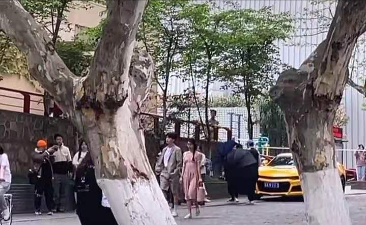 干得漂亮！三大“流量明星”到南京大学拍戏，全程无人围观遇冷场