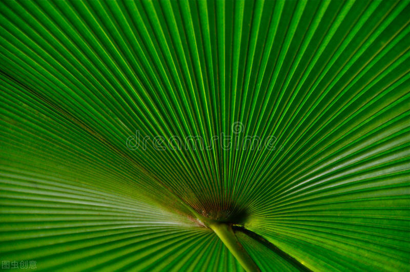 读故事闯三关，巧记六级词汇（34）