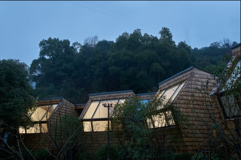 好消息！我已录取，中国美术学院部分省份查到录取成绩略有下降