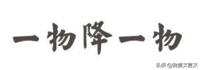 经典文言文赏析｜天敌