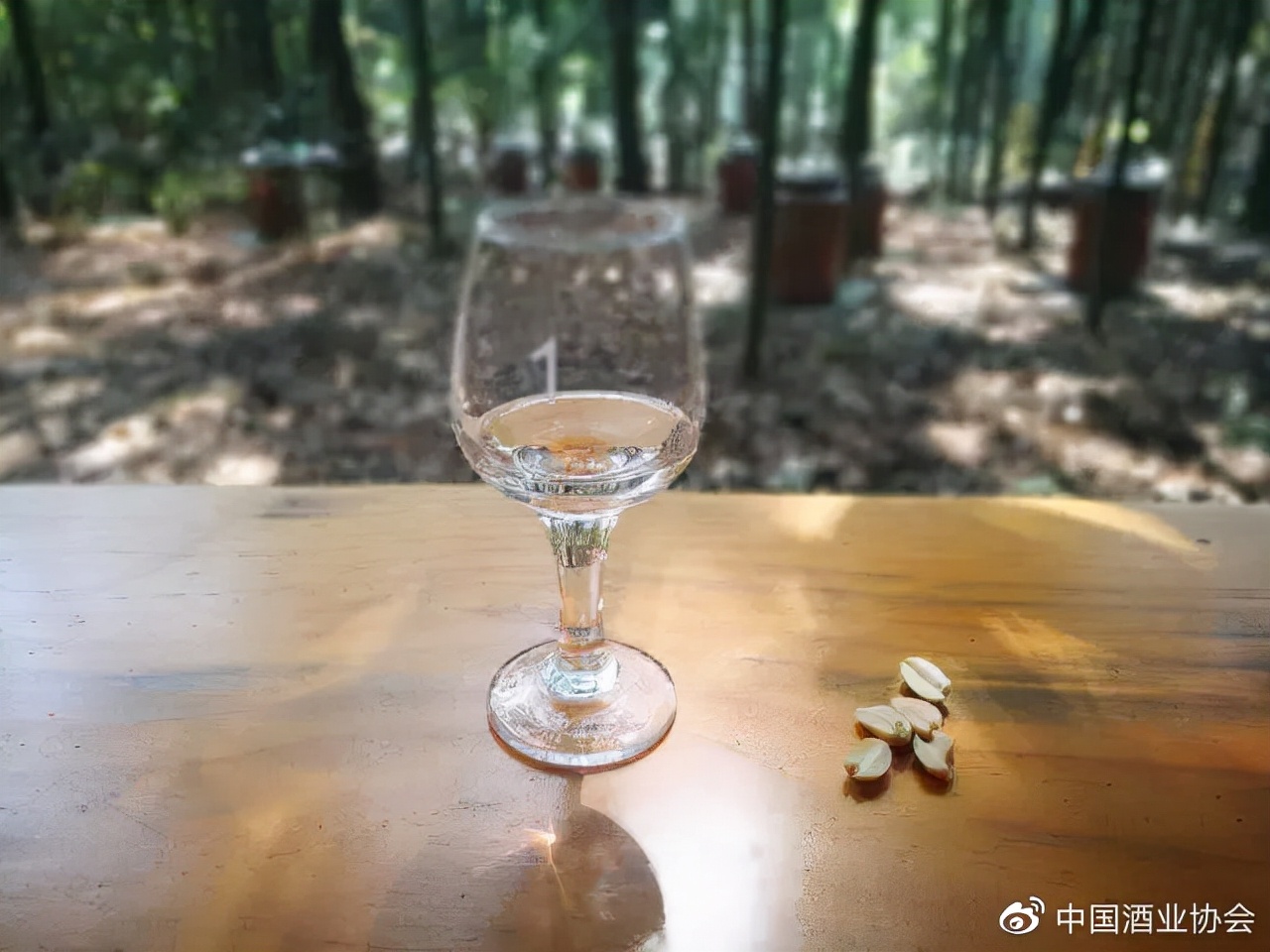 酒境 | 举杯畅饮，不负时光