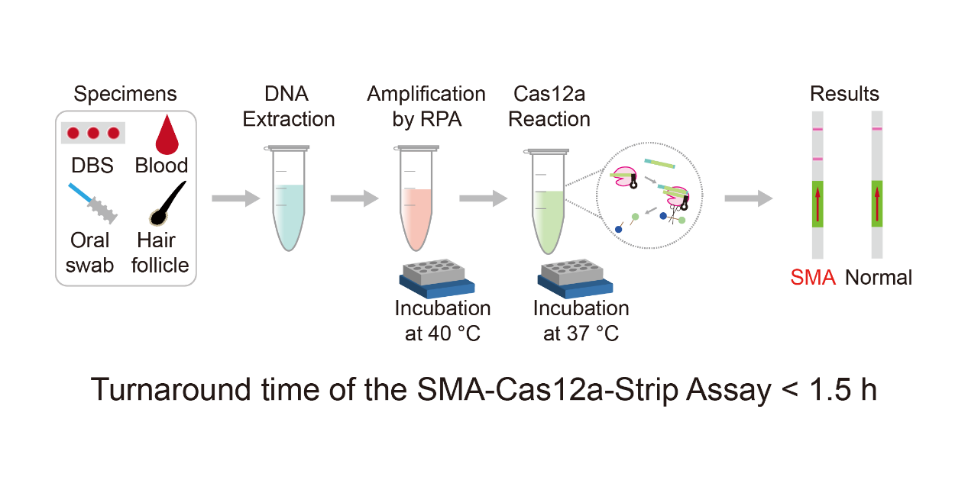 国际关注！中国科学家在遗传病和肿瘤基因检测方向取得新突破！