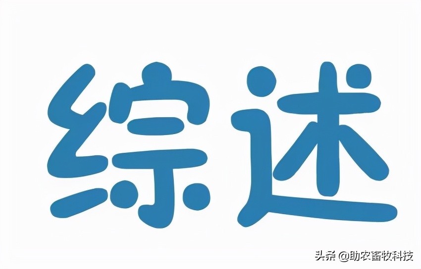 猪场如何进行非洲猪瘟排查？这几张图简单明了，值得收藏