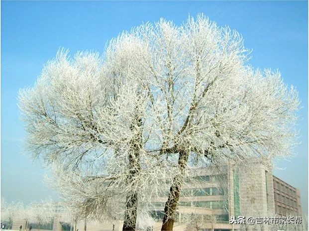 高考必读：吉林师范大学吉林省历年来录取分数线