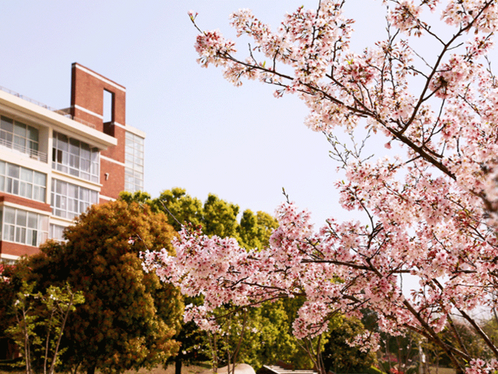 2020届学弟学妹，武汉外语外事职业学院在找你