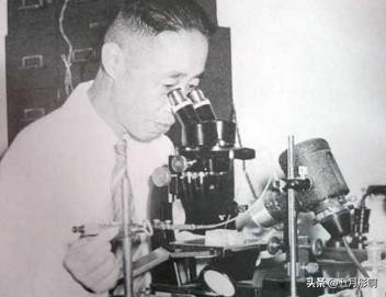 全班倒数第一名逆袭考上复旦，童第周用勤奋证明了爱因斯坦那句话