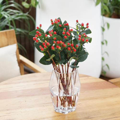 红豆花图片(如果你春节无法回家) - 赤虎壹号